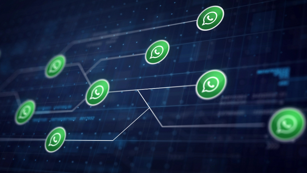 WhatsApp API vs App : évitez de perdre vos clients